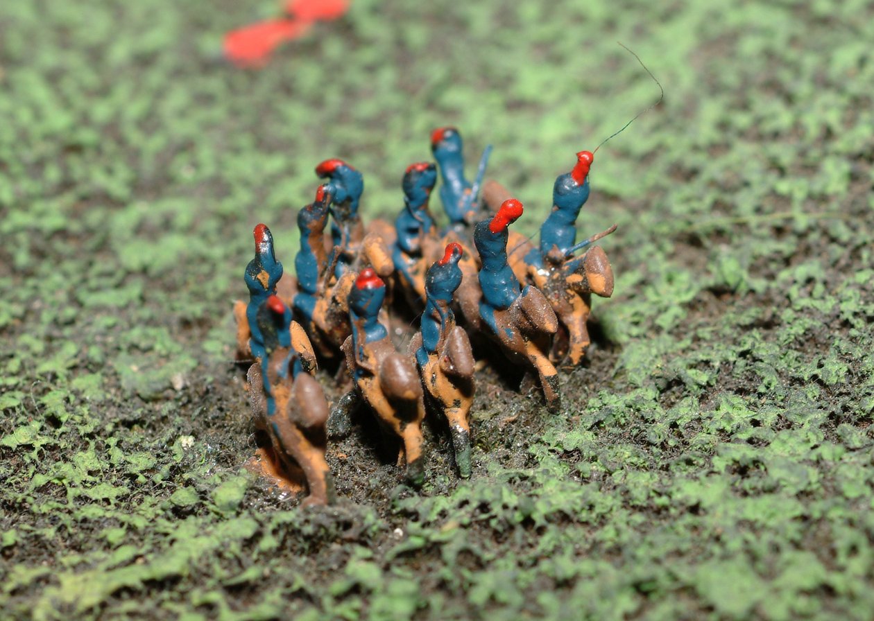 Diorama van de Slag bij Waterloo met troepen gepositioneerd zoals om 19.45 uur op 18 juni 1815 (detail) door Capt. William Siborne