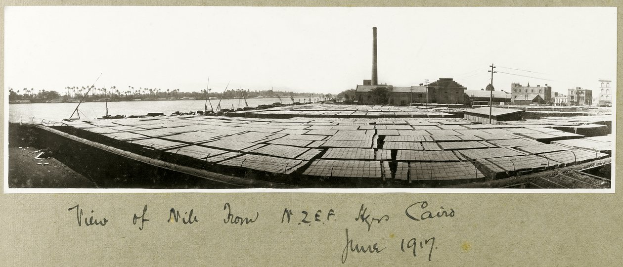 Uitzicht op de Nijl vanaf het N.Z.M.F.A. hoofdkwartier, Caïro, juni 1917 door Capt. Arthur Rhodes