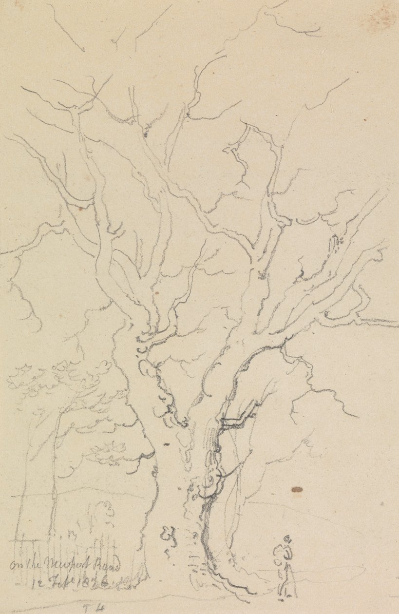 Op de Newport Road, 12 Februari 1826 door Capt. Thomas Hastings