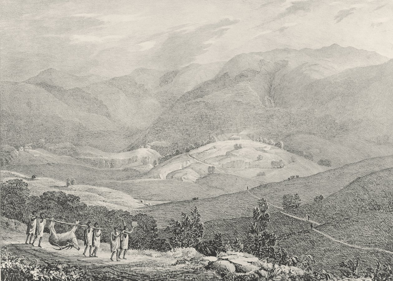 Ottacamund, Uitzicht op de Grote Dodabetta, Neelgherry Bergen, plaat 4 uit 