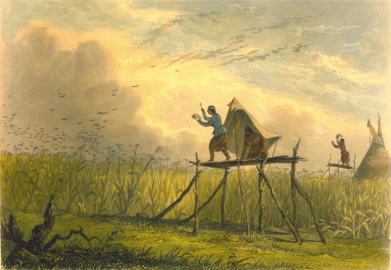 De korenvelden bewaken, 1853 door Captain Seth Eastman