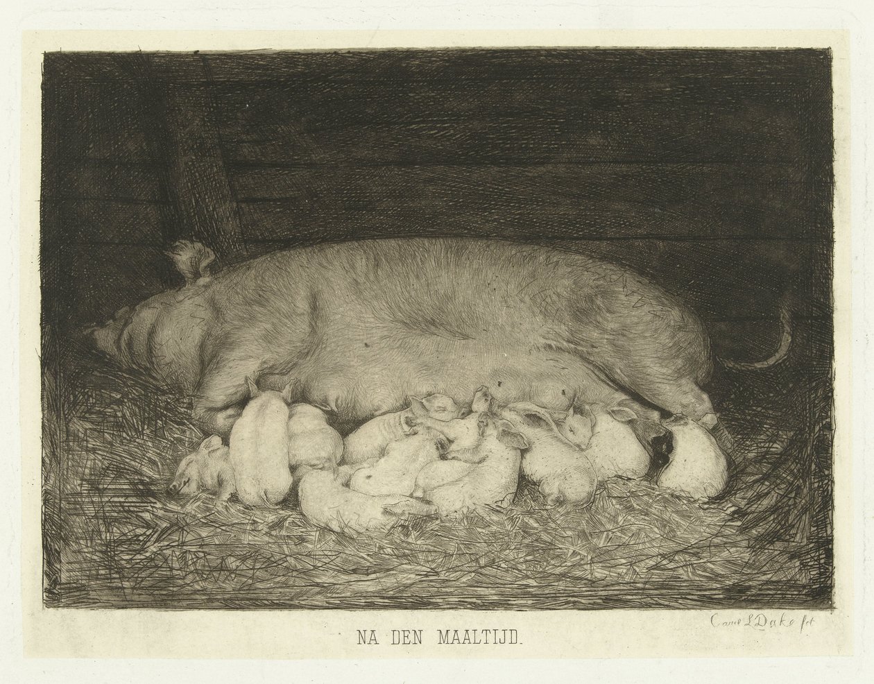 Zeug met biggen liggend in stal (title on object) door Carel Lodewijk Dake