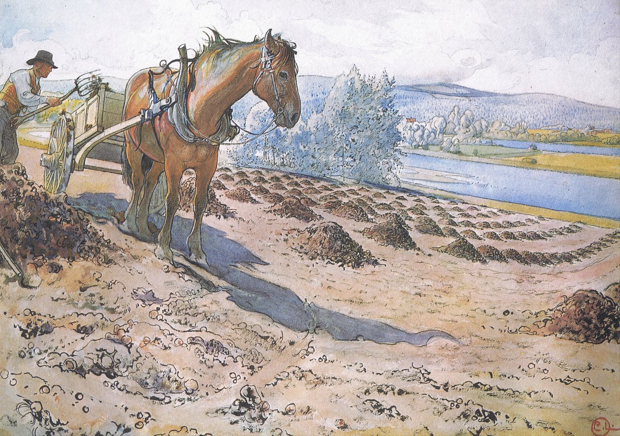 Mestverspreiding op een braakliggend veld door Carl Larsson