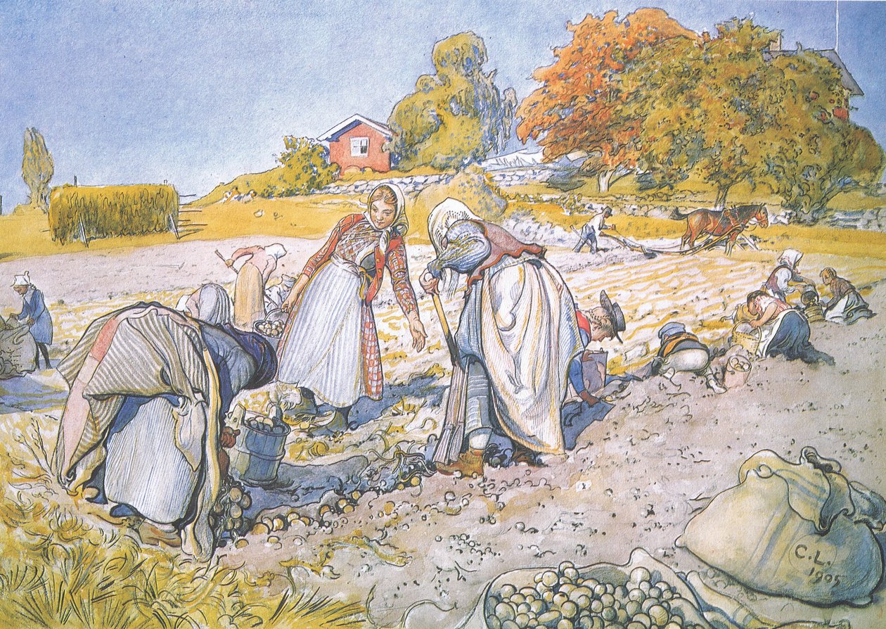De kinderen vulden de emmers en manden met aardappelen door Carl Larsson