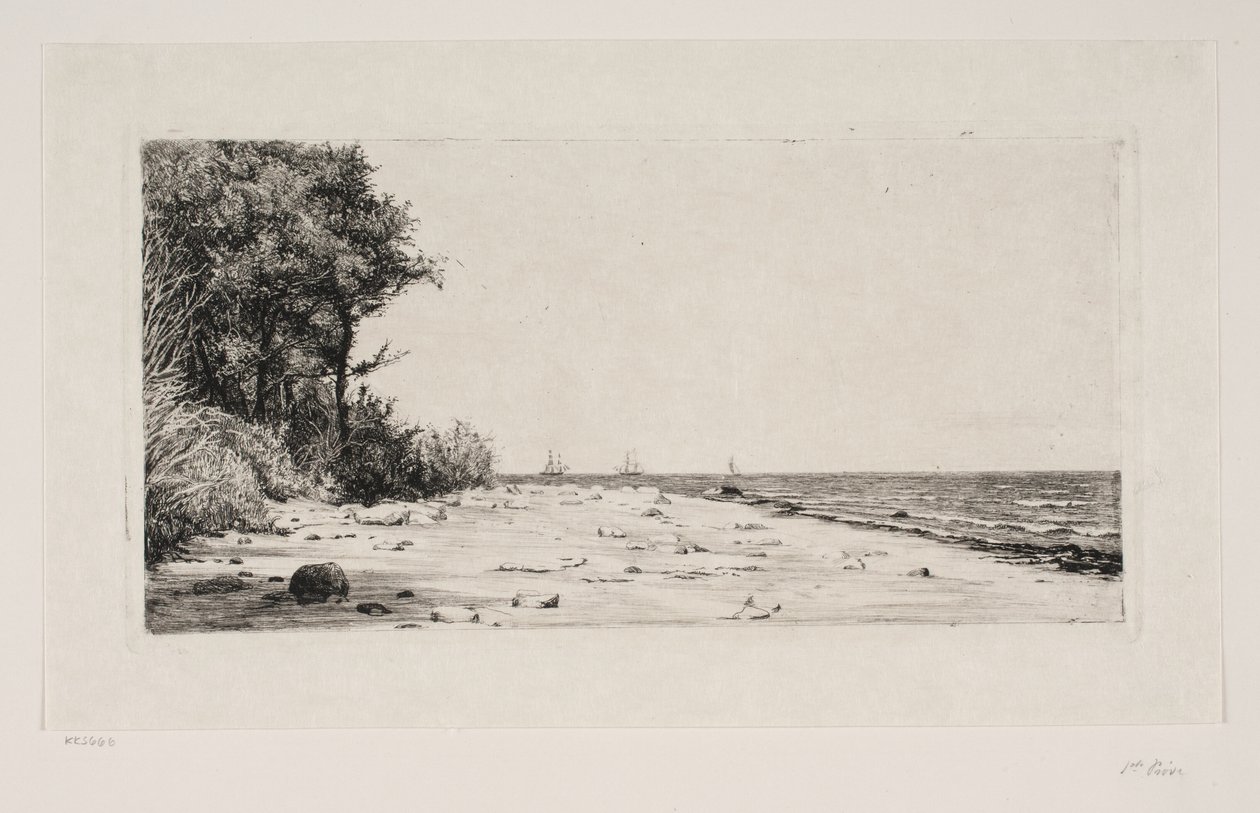 Van de noordkust van Seeland. Hornbækplantage door Carl Bloch