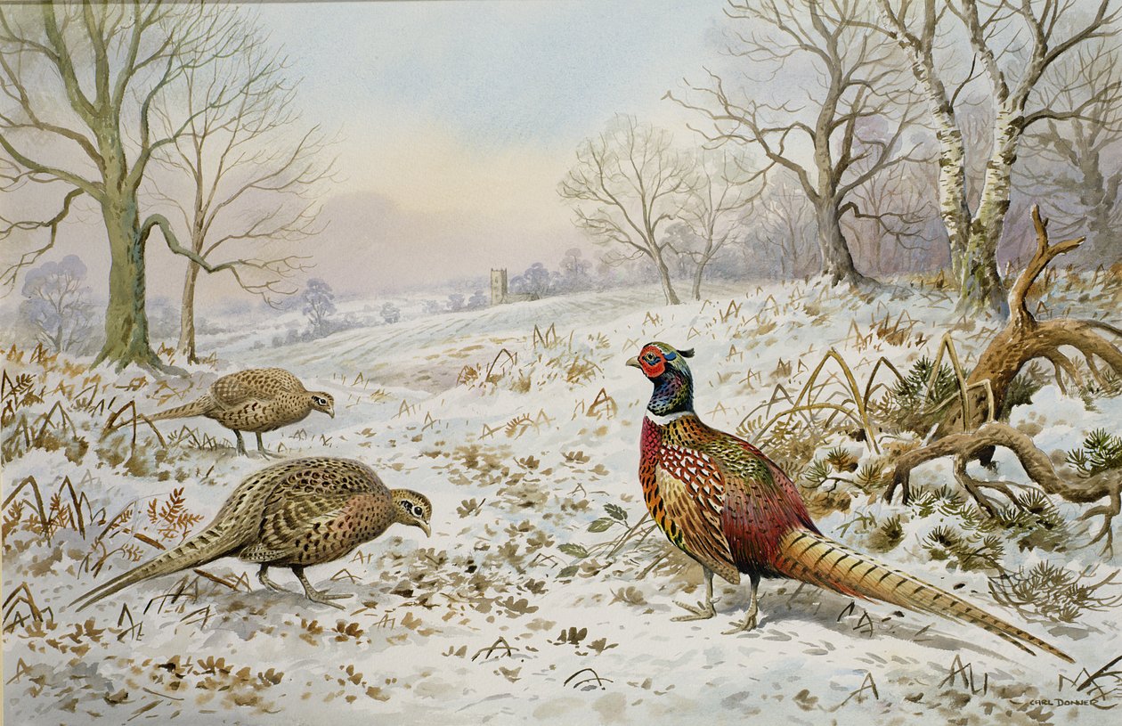 Fazant en Patrijzen in een Sneeuwlandschap door Carl Donner