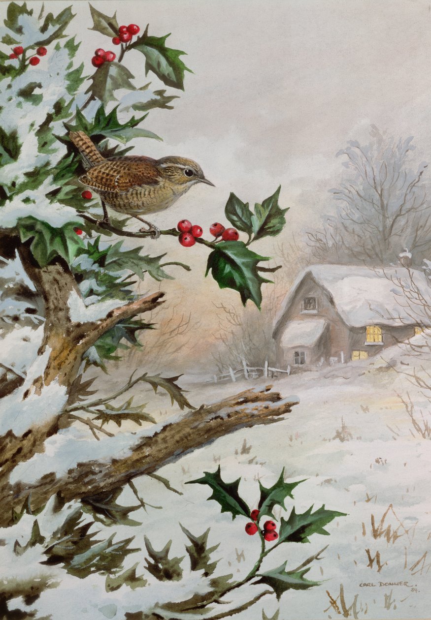Winterkoninkje in hulststruik bij een huisje door Carl Donner
