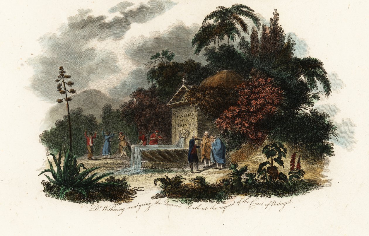 William Withering in Caldas da Rainha door Carl Frederik van (after) Breda