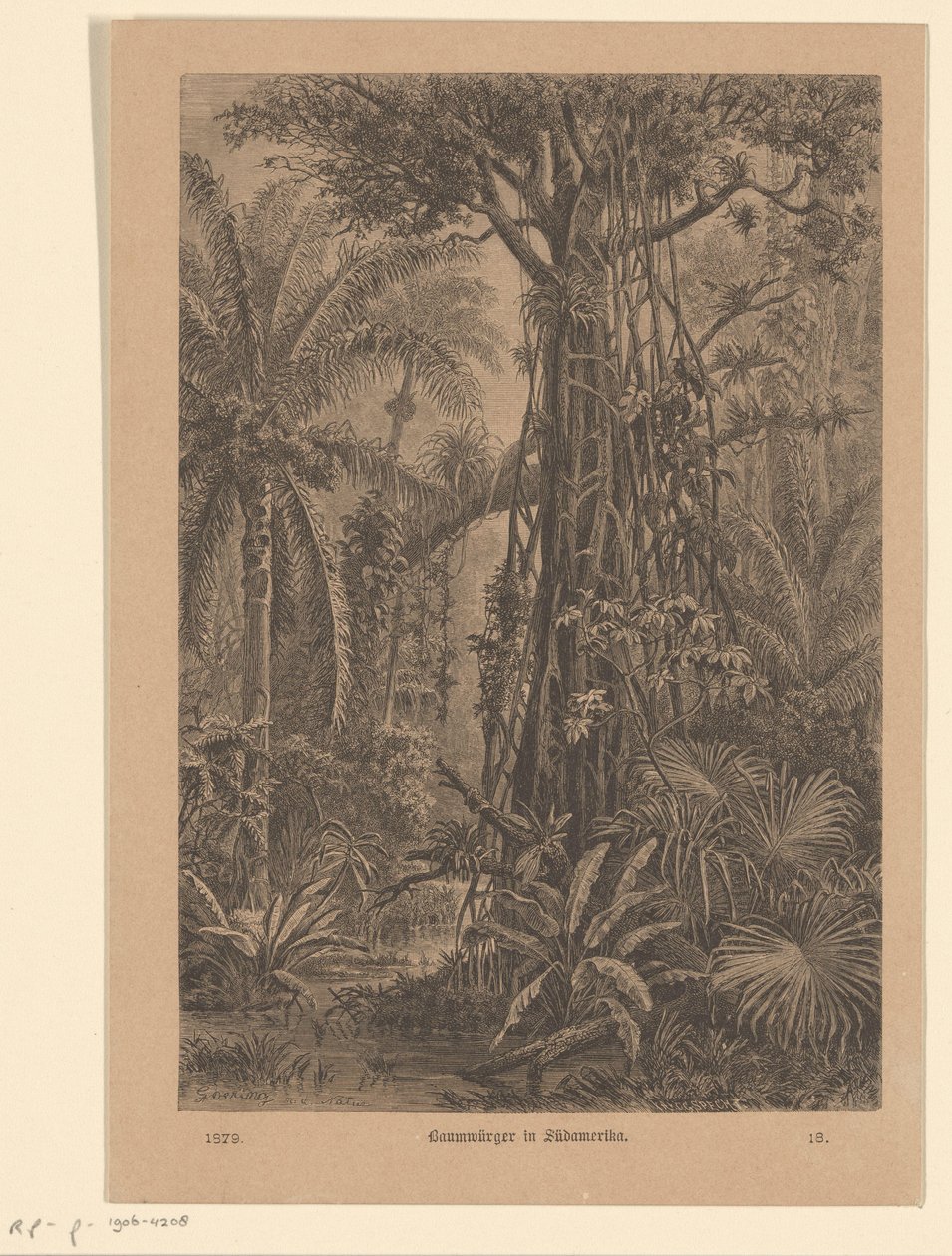 Bosgezicht door Carl Gottlob Specht