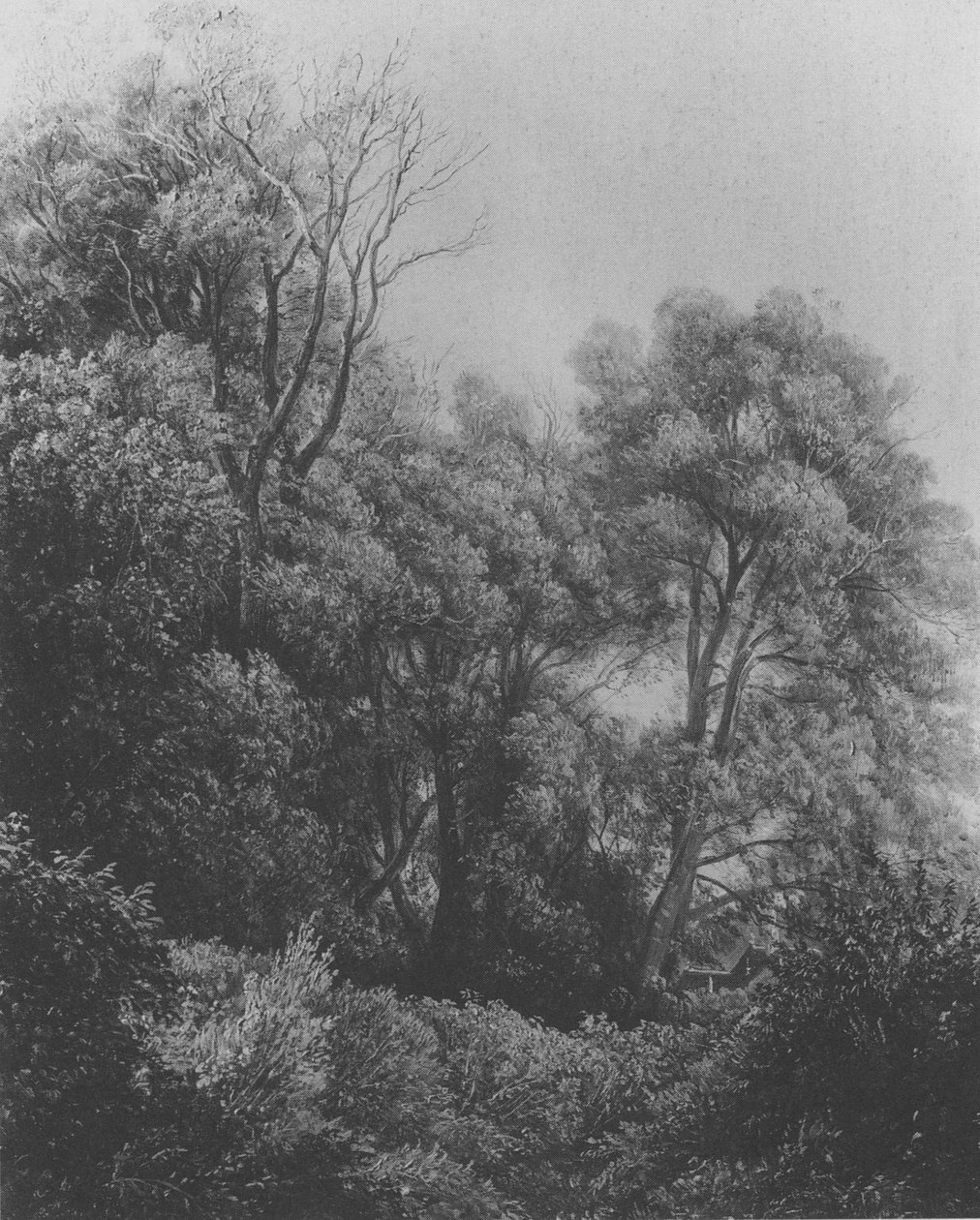 Pillnitz aan de Elbe Carl Gustav Carus 1840 door Carl Gustav Carus