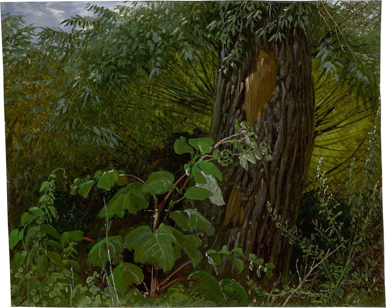 Wilgenstam met ondergroei door Carl Gustav Carus