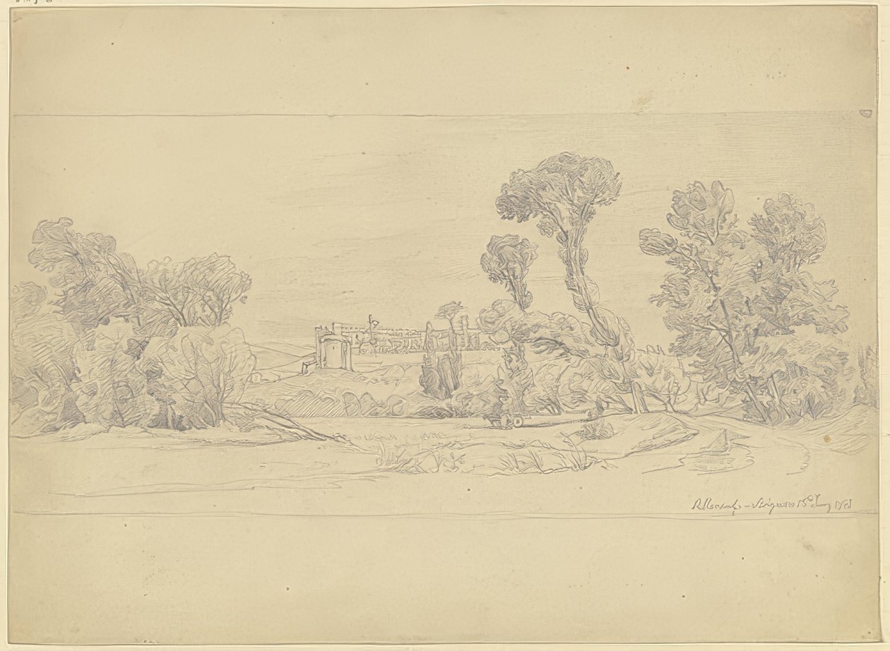 Boomstudie uit de omgeving van Villeneuve bij Avignon door Carl Morgenstern