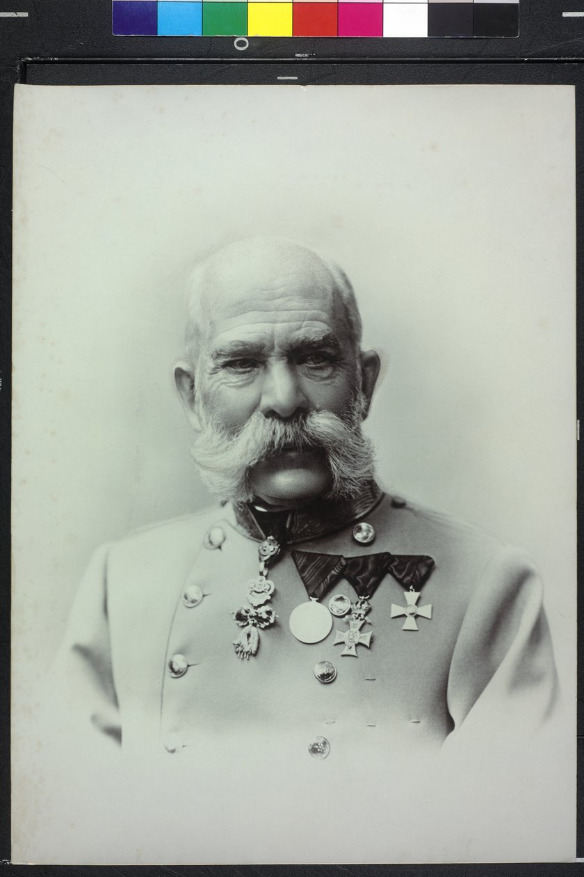 Franz Joseph I door Carl Pietzner
