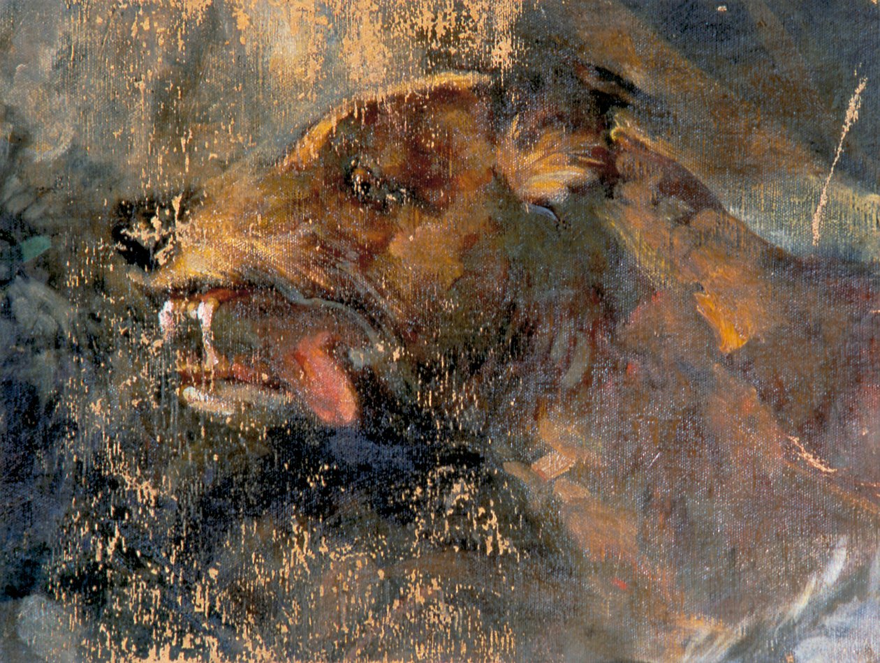 Hondenkop door Carl Rudolf Huber