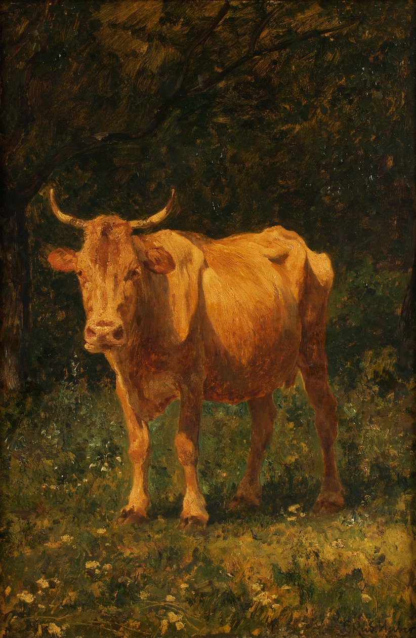 Lichtbruine Koe door Carl Rudolf Huber