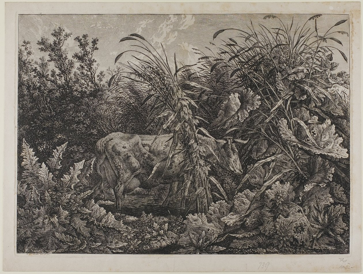 Koe in een stroom door Carl Wilhelm Kolbe the elder