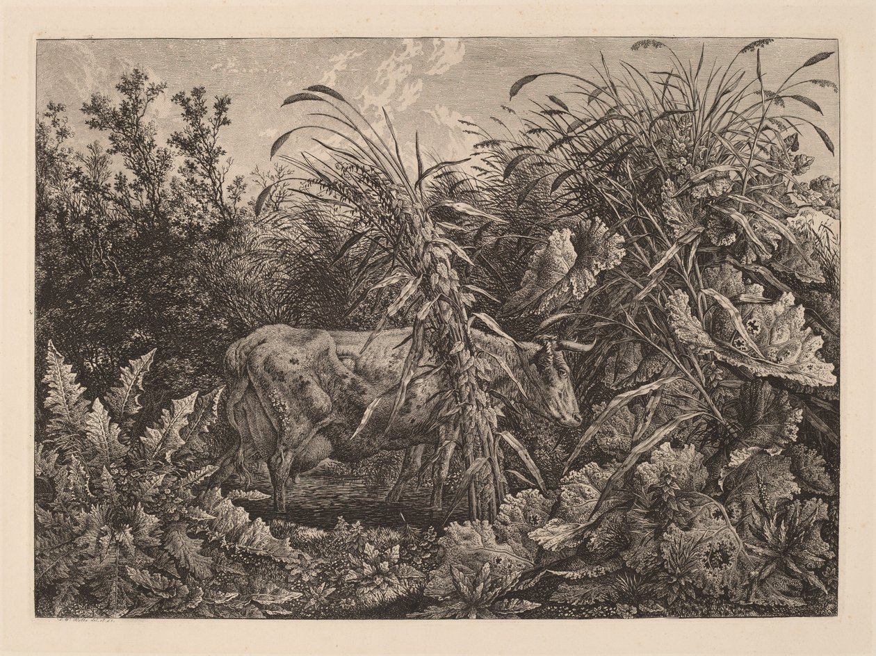 De koe in het moeras door Carl Wilhelm Kolbe, the elder