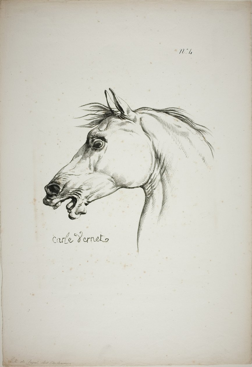 Detail van paardenhoofd, vergroot tot drievoudige grootte, Normandische Koninklijke Garde, nr. 4 door Carle Vernet
