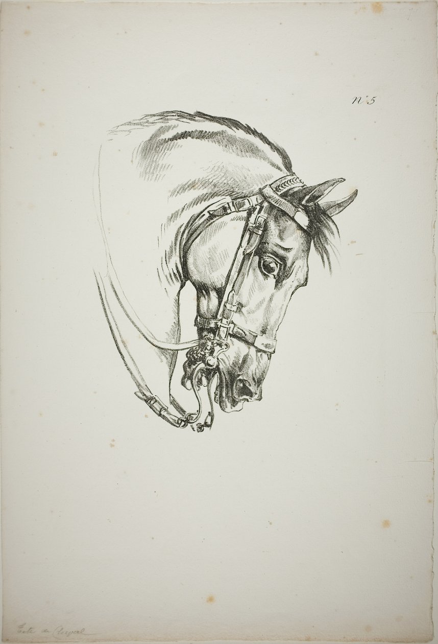 Detail van paardenhoofd, vergroot tot drievoudige grootte, Normandische Koninklijke Garde, nr. 5, Eerste Limoges Paard door Carle Vernet