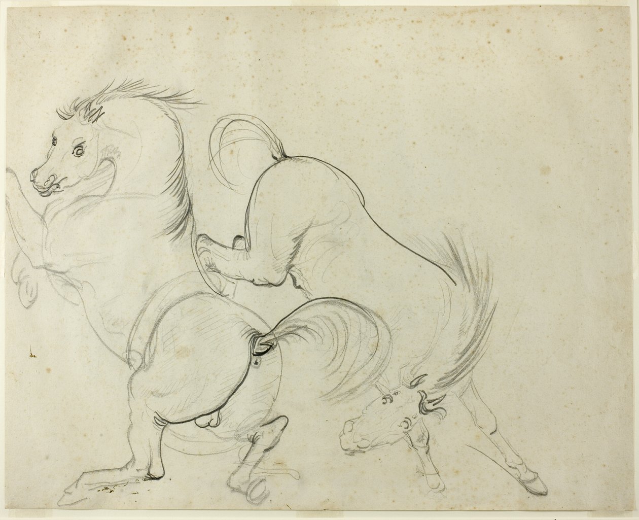 Twee paarden dartelen (recto); Man op een schoppend paard (verso) door Carle Vernet
