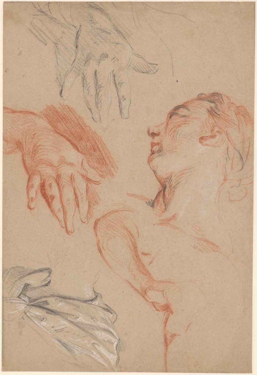 Studieblad door Carle van Loo