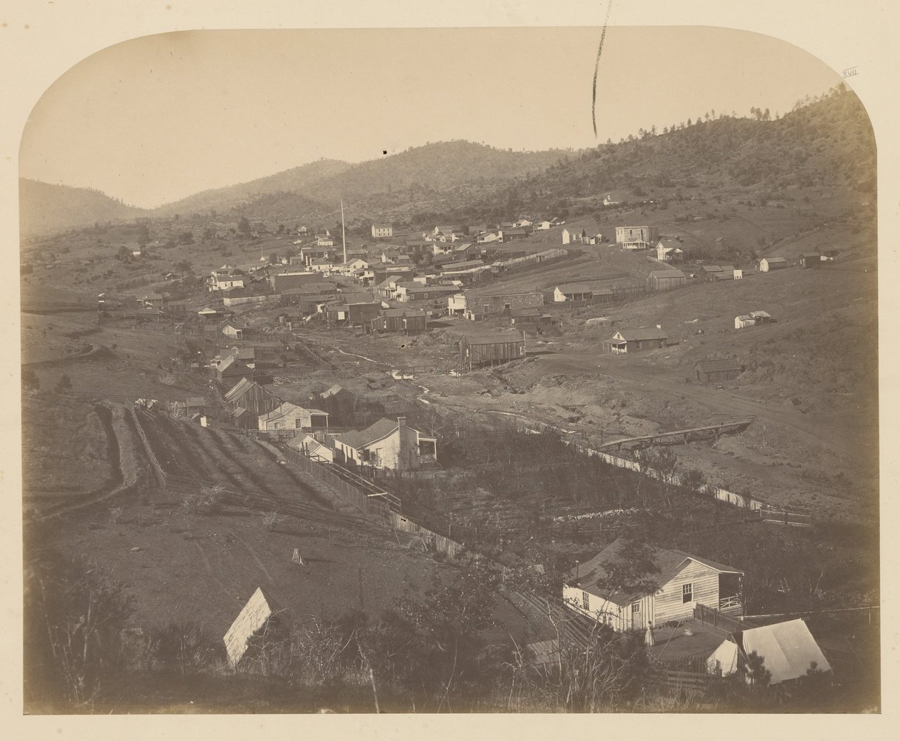(Mariposa) door Carleton E. Watkins