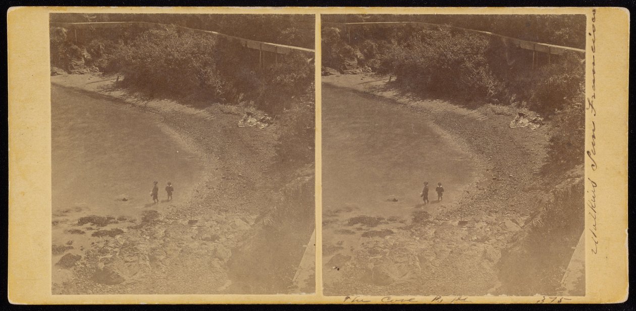 De Cove, S.F. door Carleton E. Watkins