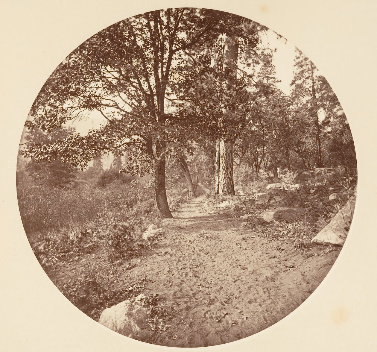In de Yosemite-vallei, ca. 1878 door Carleton Emmons Watkins