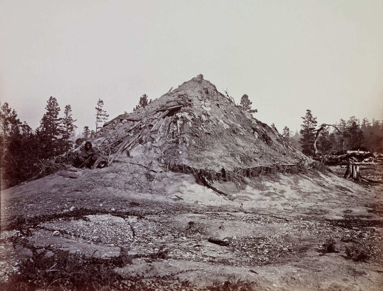 Indiaans zweet huis, Mendocino County, Californië door Carleton Emmons Watkins