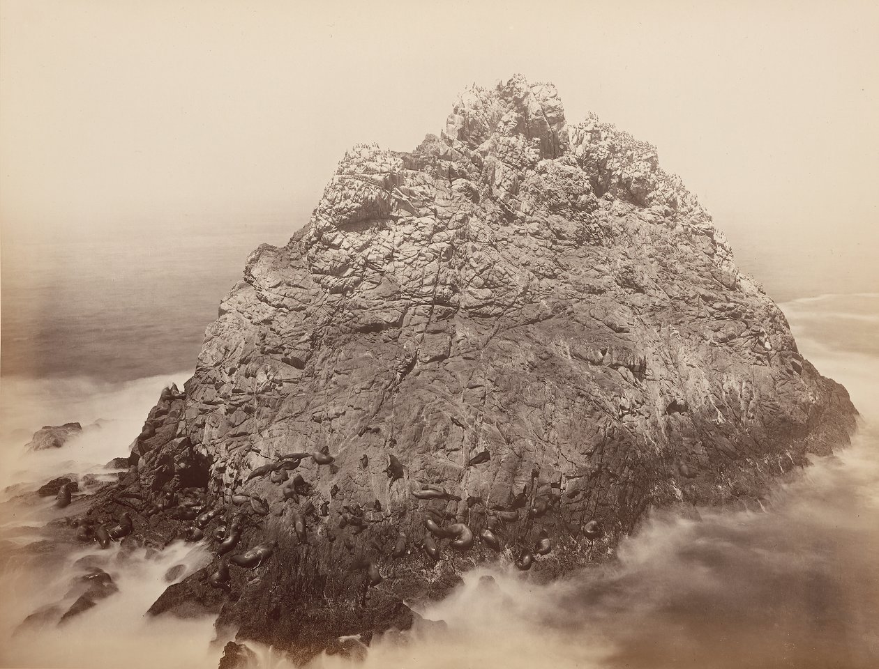 Sugar Loaf Eilanden, Farallons, 1868-69 door Carleton Emmons Watkins