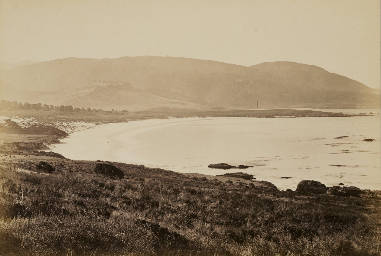 [Kustgezicht, Monterey] door Carleton Watkins