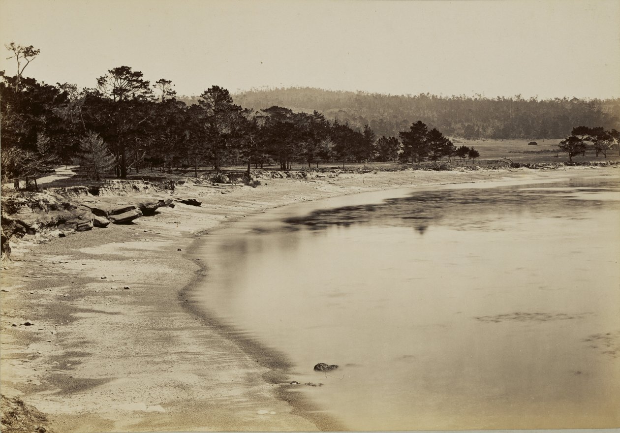 [Uitzicht op de kust bij Monterey] door Carleton Watkins