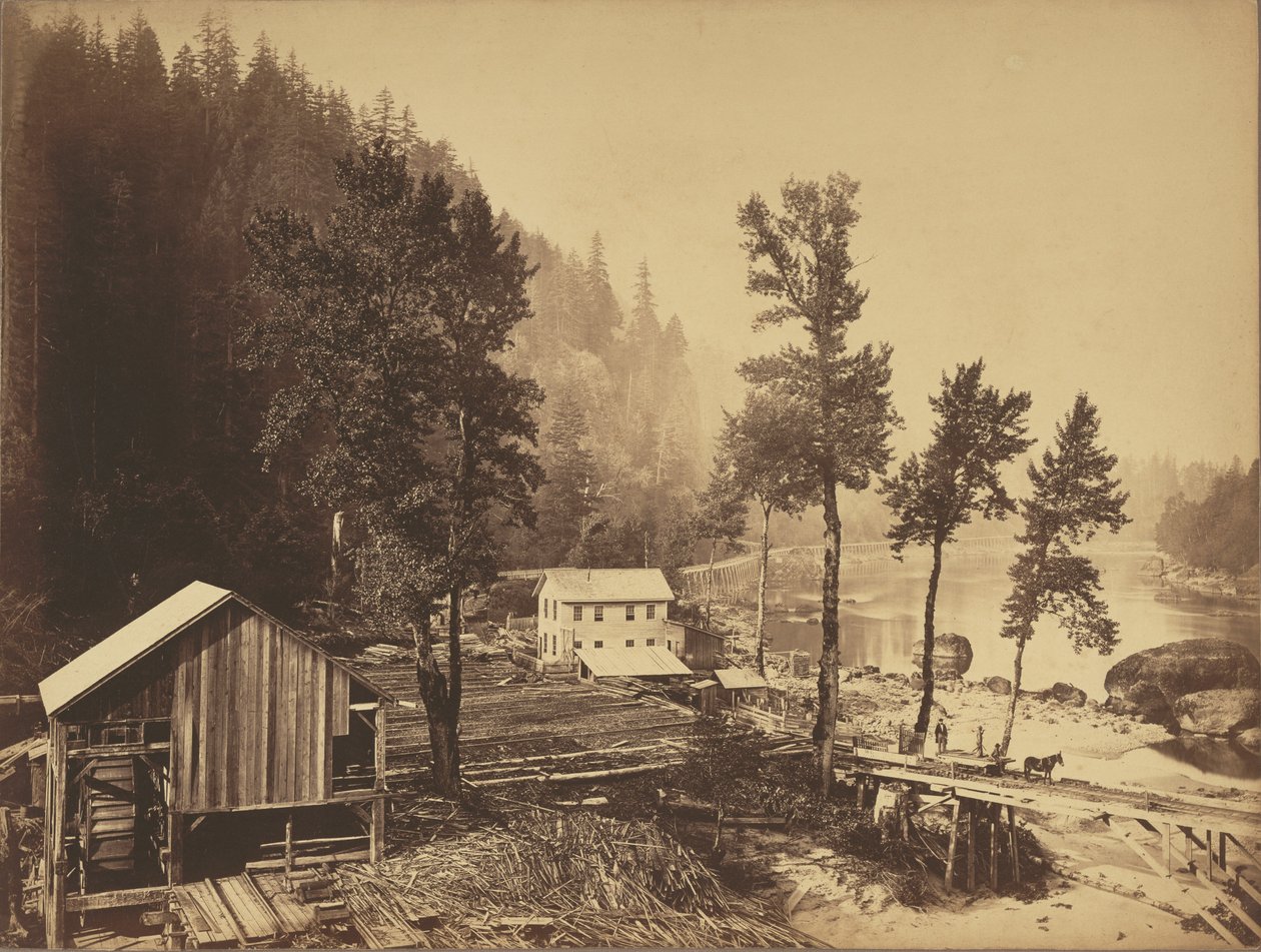 Eagle Creek, Columbia River door Carleton Watkins