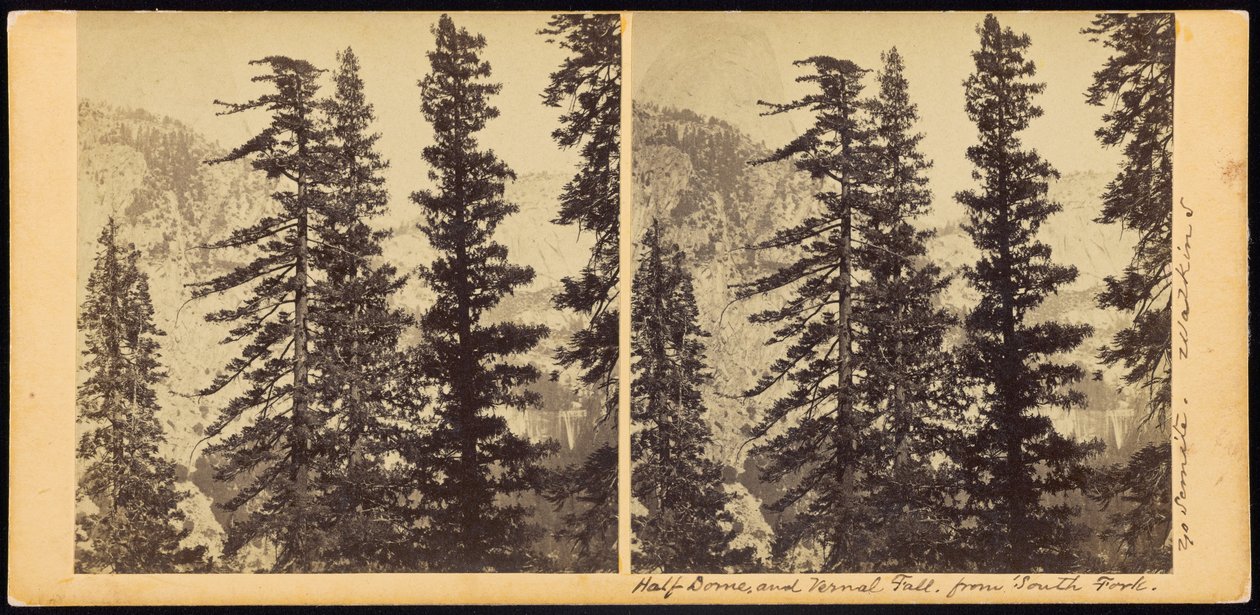 Half Dome en Vernal Fall, vanaf South Fork door Carleton Watkins