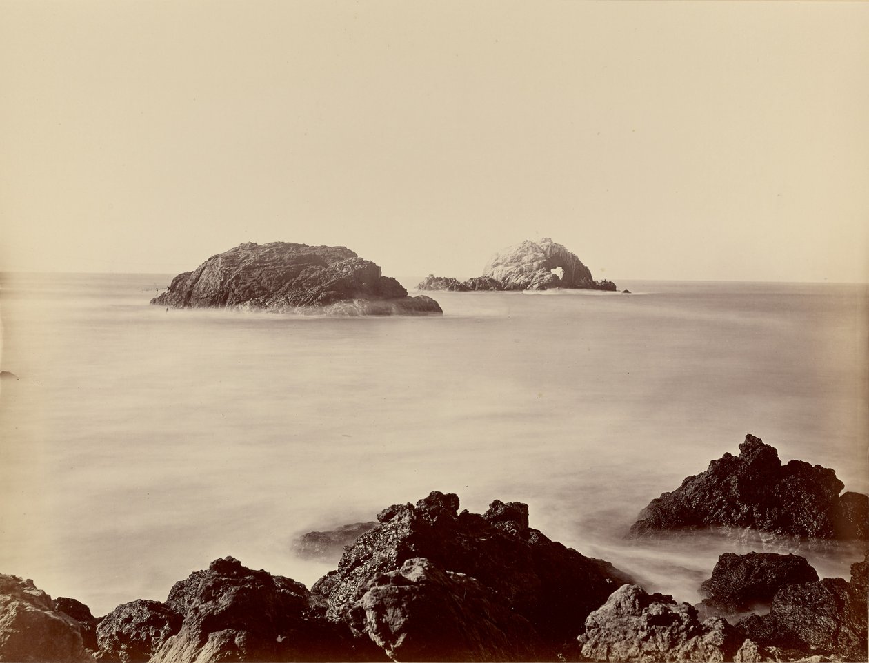 [Seal Rocks gezien vanaf de punt] door Carleton Watkins