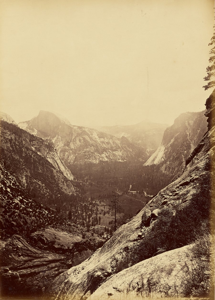 [The Domes from the Foot of the Upper Yosemite]. door Carleton Watkins
