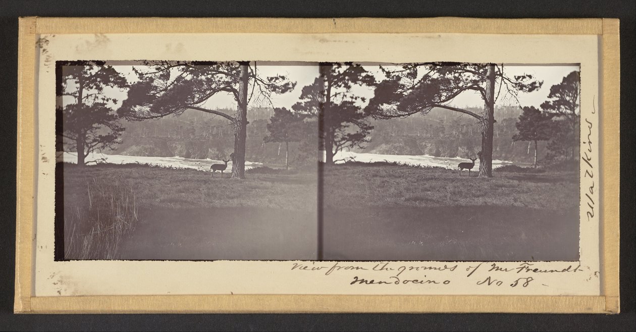 Uitzicht vanaf het Landgoed van de Heer Freundt, Mendocino door Carleton Watkins