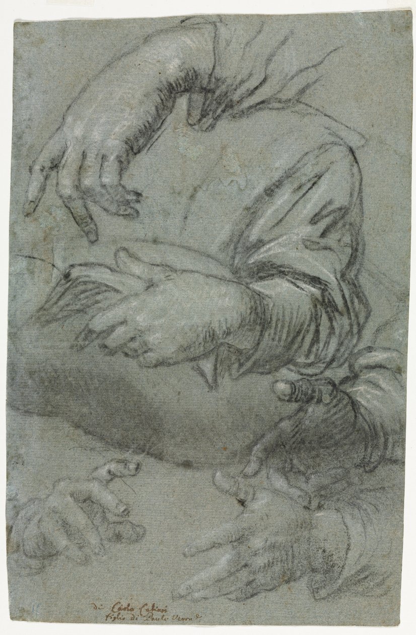 Studies van handen door Carletto Caliari