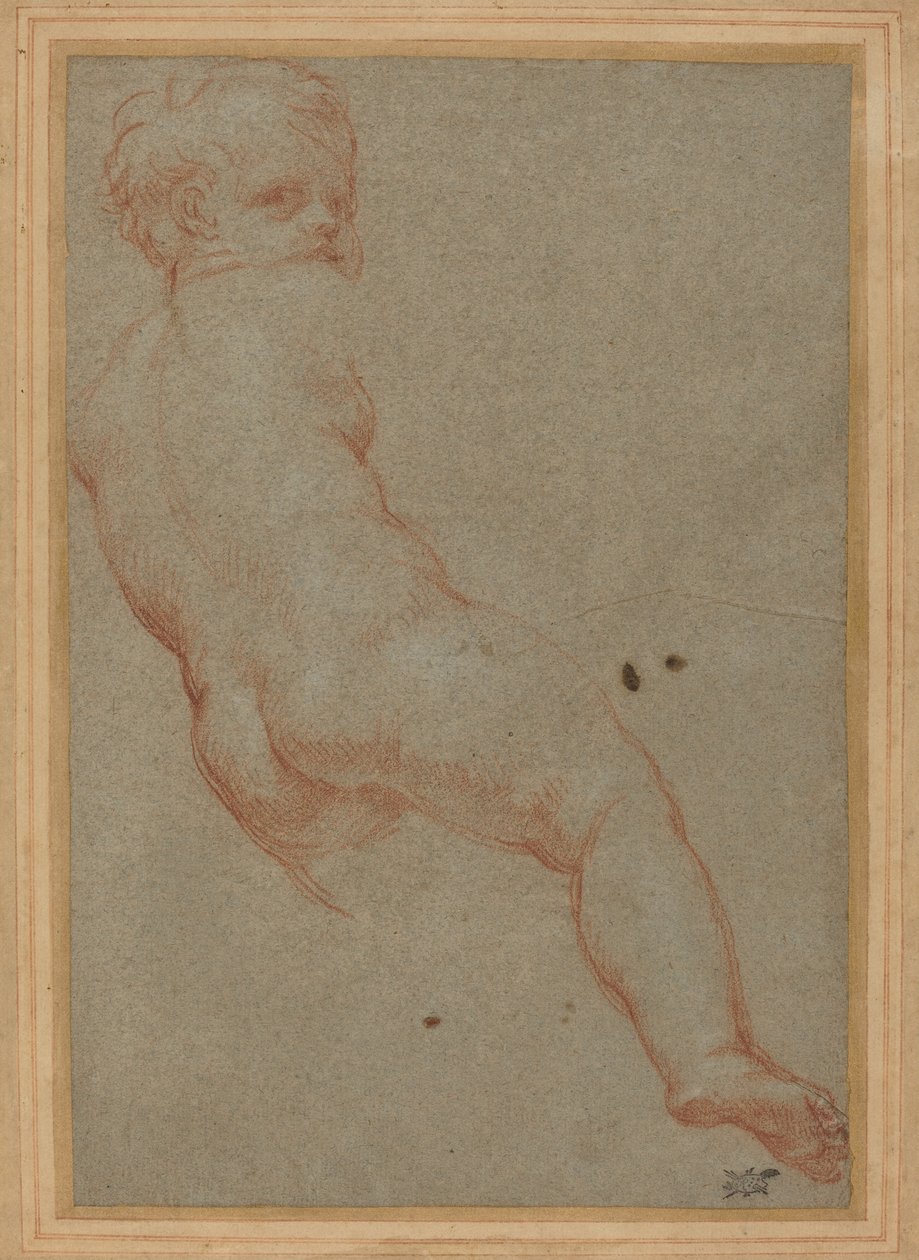 Studie van een Jonge Jongen door Carlo Maratta