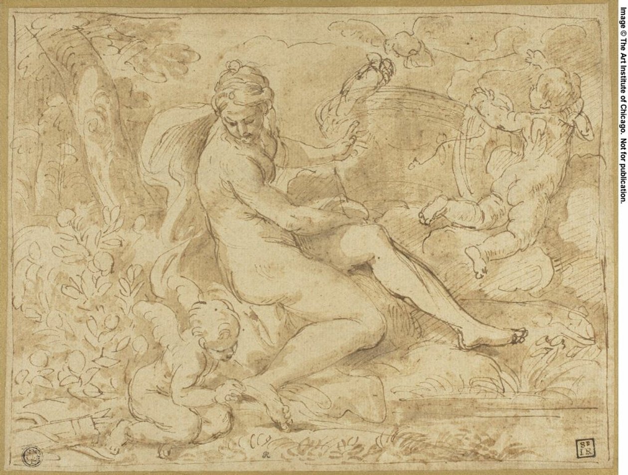 Studie naar de oorsprong van de roos door Carlo Maratti