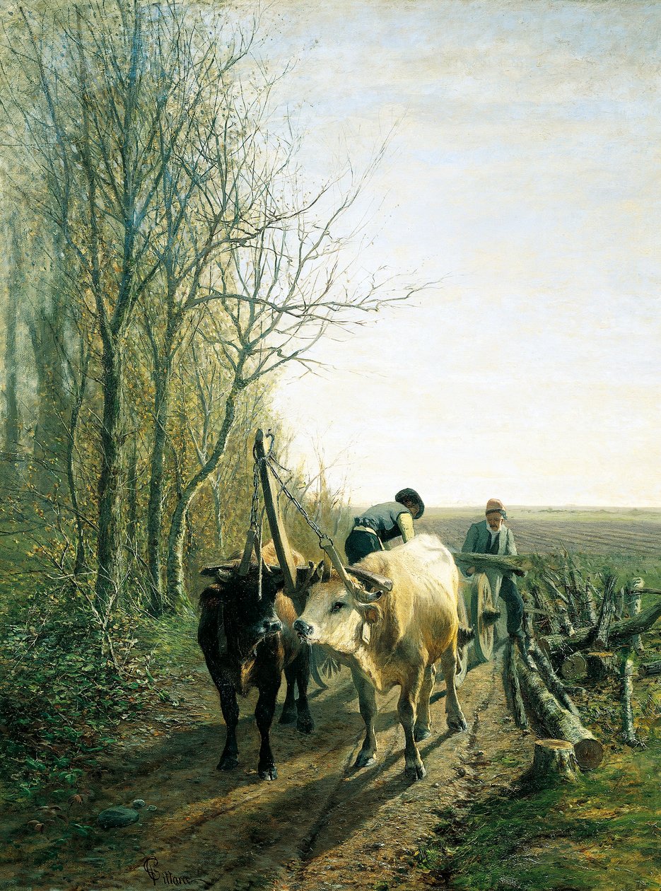 Verwachte belasting (ossen voor de wagen) door Carlo Pittara