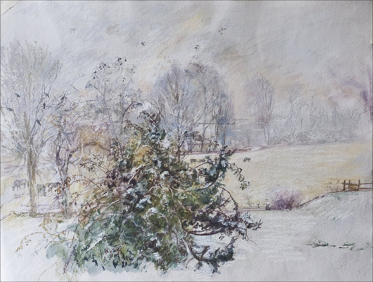 Winter vanuit ons raam, 2009 door Caroline Hervey Bathurst