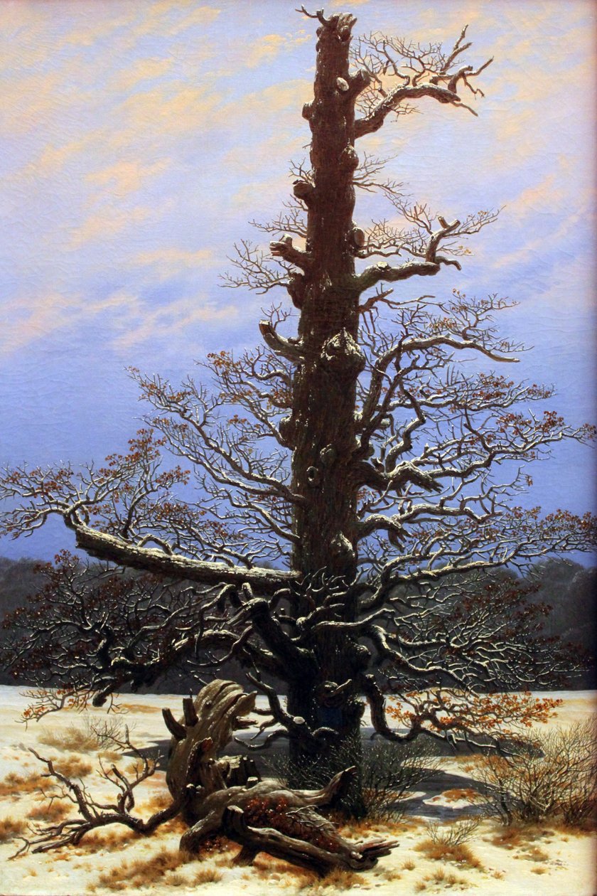 Eik in de sneeuw door Caspar David Friedrich