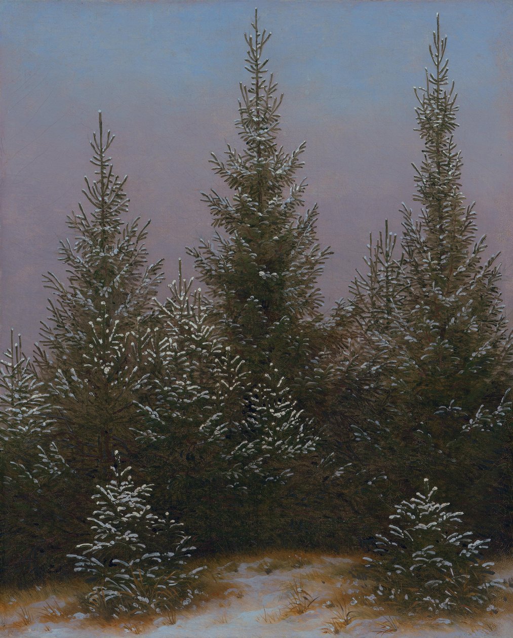 Sparrenbos in de sneeuw (Uit de Dresdner Heide I) door Caspar David Friedrich