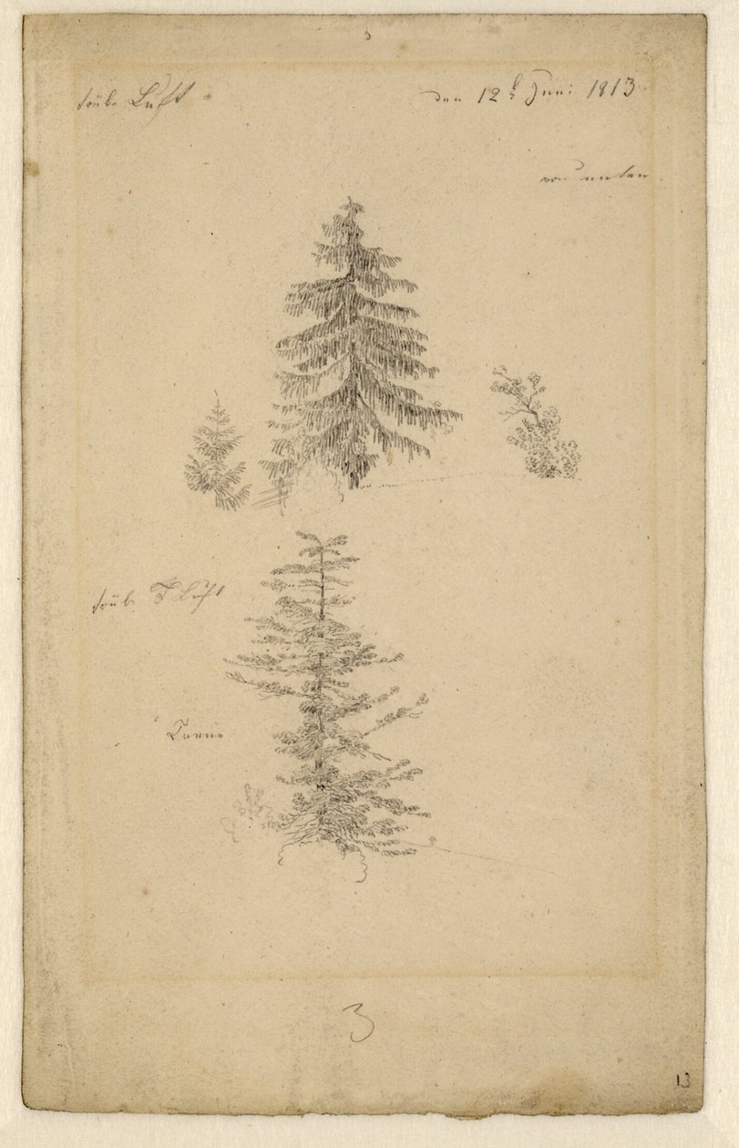 German: Zwei Tannenstudien Two studies of fir trees door Caspar David Friedrich