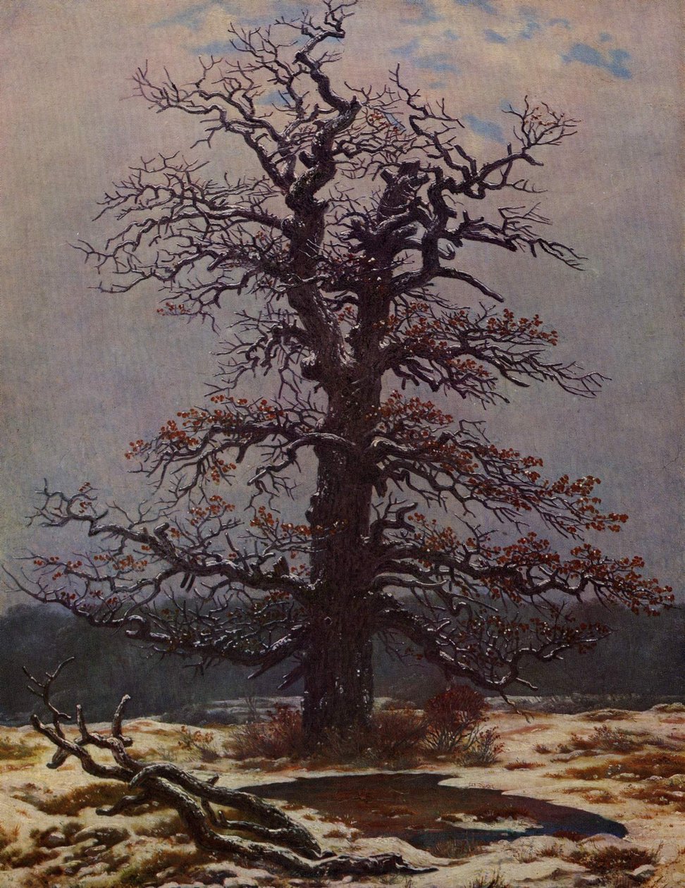 Eik in de sneeuw door Caspar David Friedrich