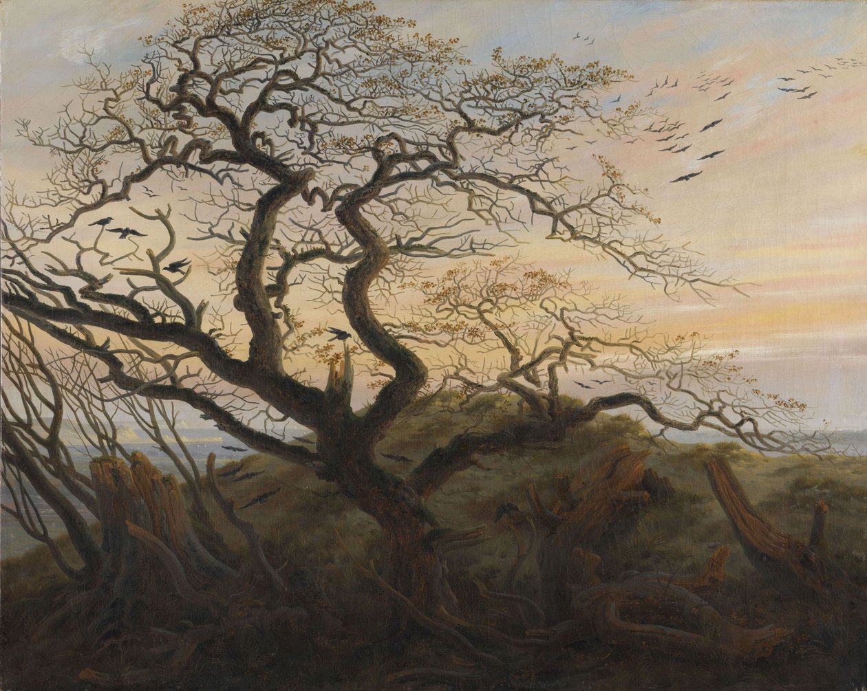 De boom van kraaien door Caspar David Friedrich