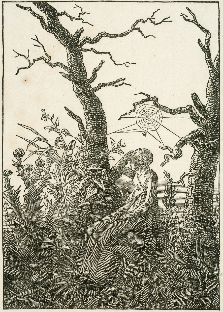 Vrouw met spinnenweb tussen kale bomen door Caspar David Friedrich