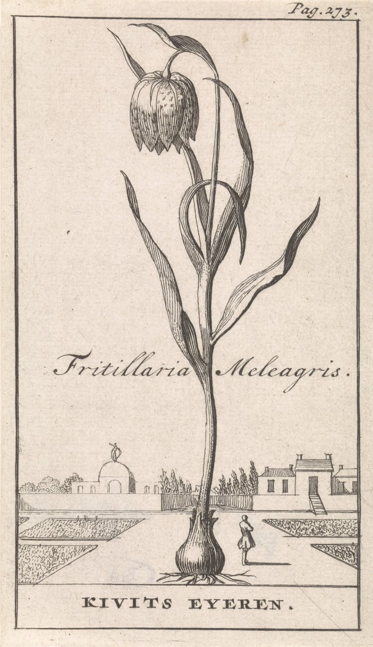 Titelpagina en acht prenten met bloemen door Caspar Luyken