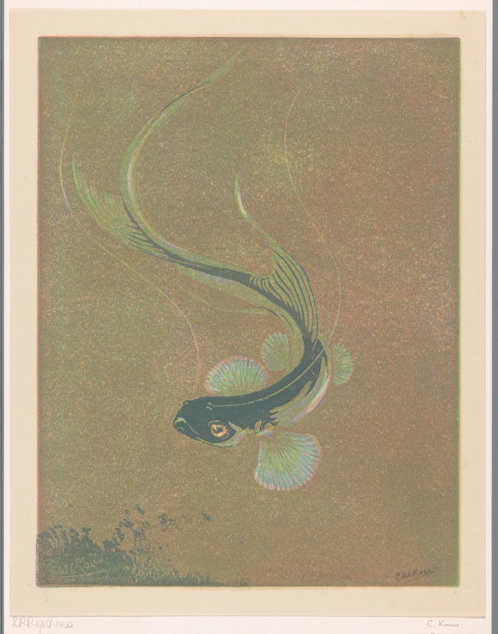 Zwemmende vis door Casper M.L. Kouw (signed by artist)